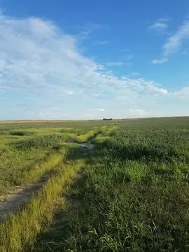 Cline, Oklahoma