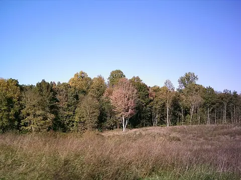 Ca Ira, Virginia