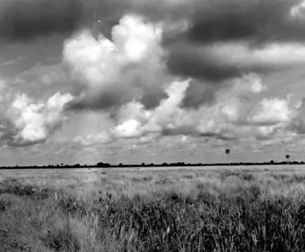 Deer Park, Florida